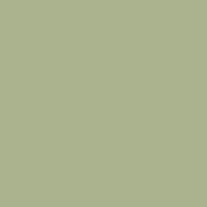Soft Sage Fleetwood Paints - Popular Colours Collection by Paint Online