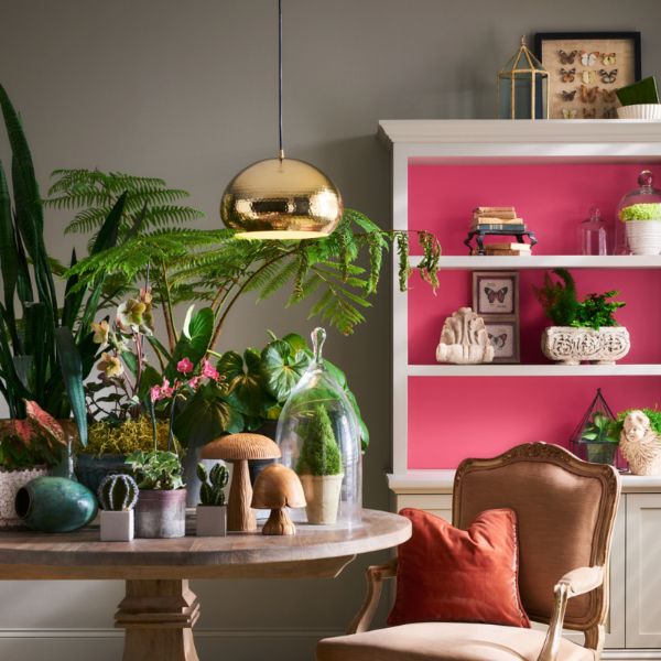 Stone Brown Fleetwood Paints - Popular Colours Collection by Paint Online