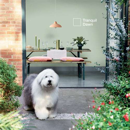 Tranquil Dawn - Dulux Paint Colour - Dulux Easycare Washable Matt Paint