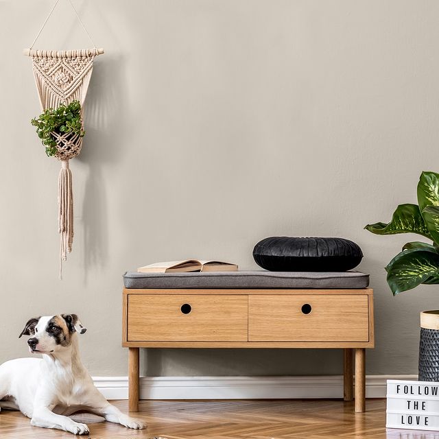 Watch House Colourtrend Contemporary Paint Collection