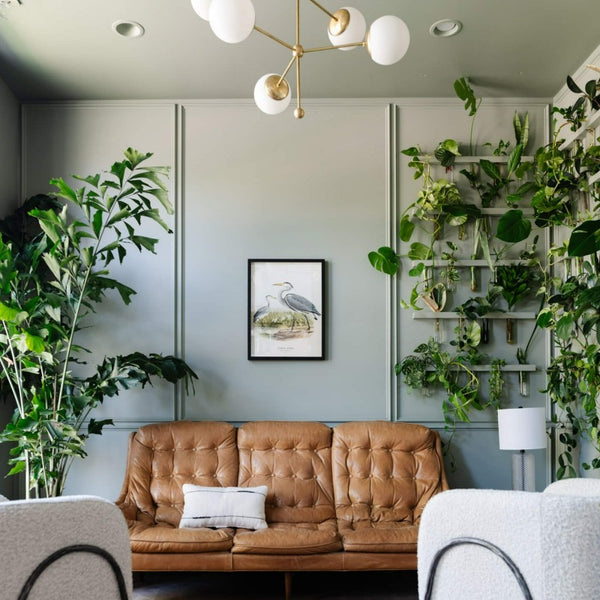 Greige Green from the Fleetwood Paints popular colours. Green living room paint colour. Buy fleetwood paints online.