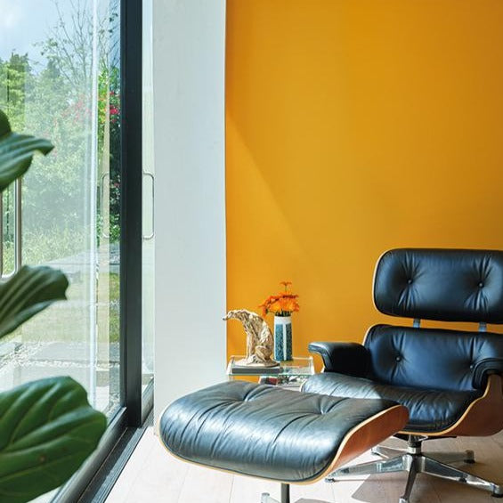 Dutch Orange Farrow & Ball living room paint colour from Paint Online