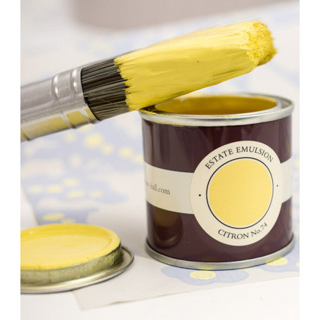 Citron Farrow & Ball - Yellow Paint Colour - Paint Online