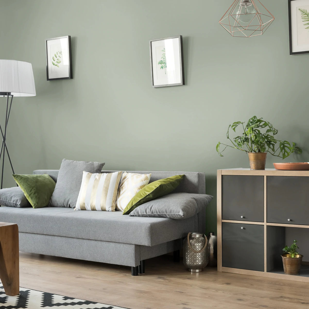 Schoolroom Green by Colourtrend Paints - Sage Green Living Room Paint Colour - Paint Online 