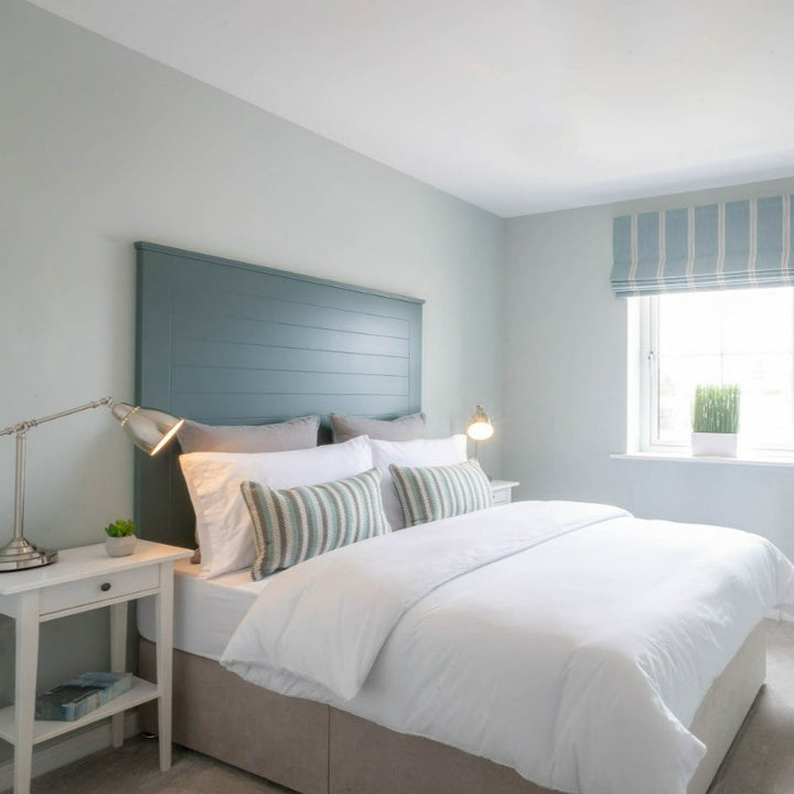 Bichon - Ventura Design Paint Colour - Fleetwood Paints - Paint Online